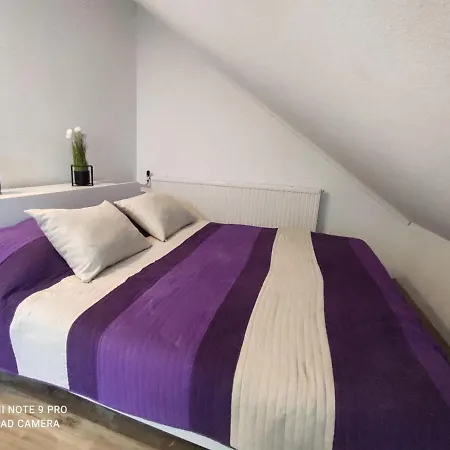 Felho Guest house
